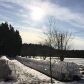 CONSE Farm