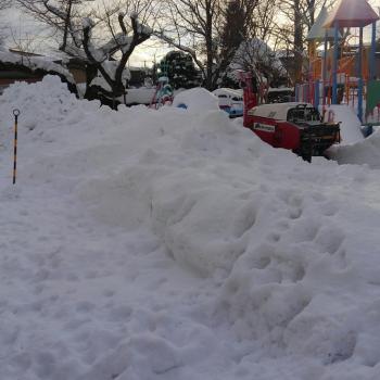 大きなプレゼント！