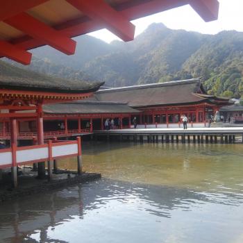 宮島！