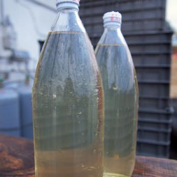 絶賛加工受付中です。