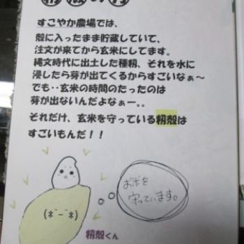 籾殻の力