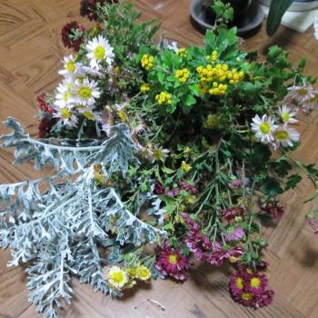 庭の花で＾＾