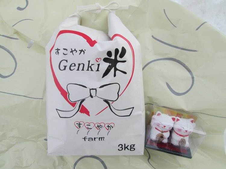 元気米３ｋｇ×２袋