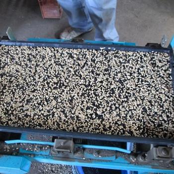 種蒔き^^ 種蒔き^^