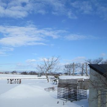 節分ですね＾＾