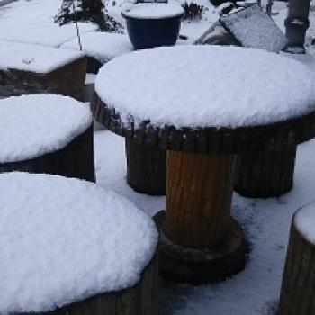 ※ 雪 ※ ※ 雪 ※