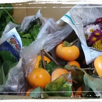 柿と野菜と花束