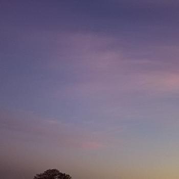 朝焼け(^^) 朝焼け(^^)