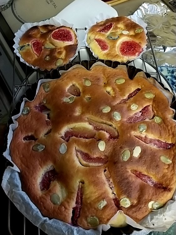 無花果ケーキ